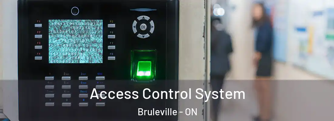  Access Control System Bruleville - ON
