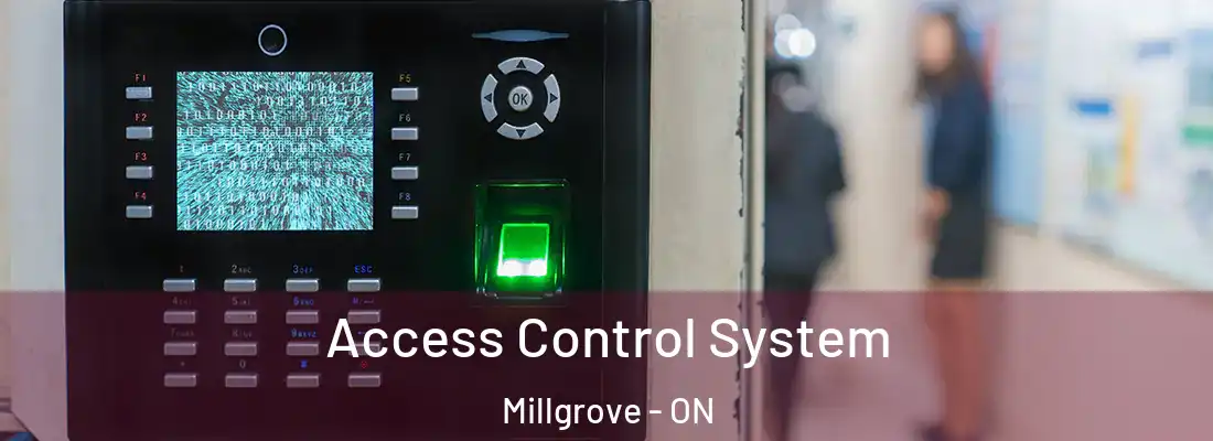  Access Control System Millgrove - ON