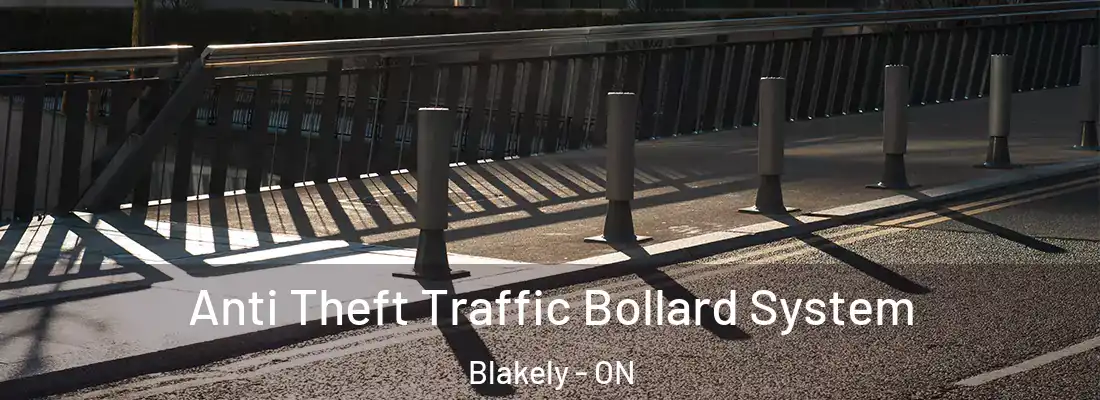  Anti Theft Traffic Bollard System Blakely - ON