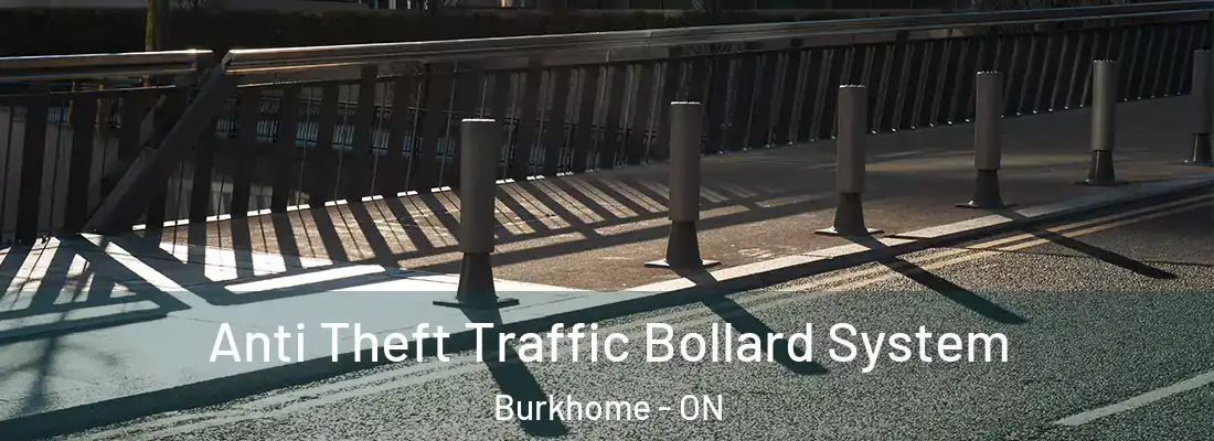  Anti Theft Traffic Bollard System Burkhome - ON