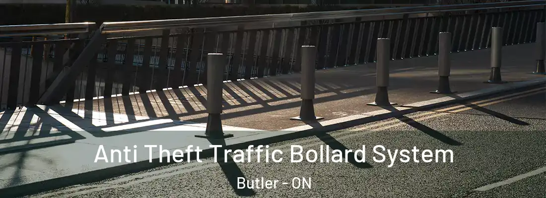  Anti Theft Traffic Bollard System Butler - ON