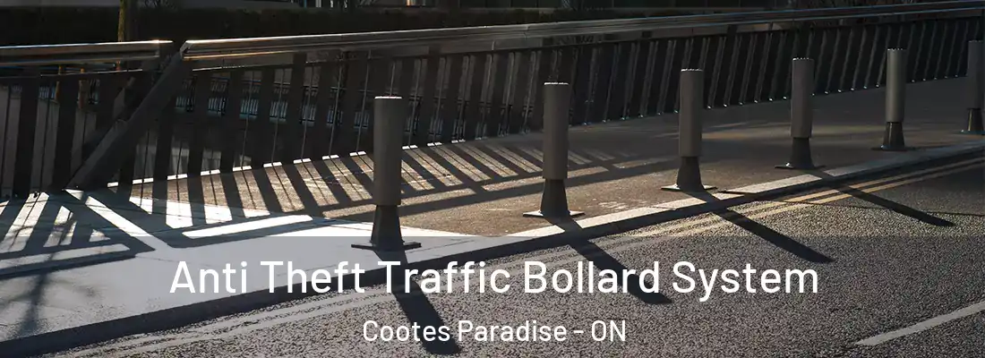  Anti Theft Traffic Bollard System Cootes Paradise - ON
