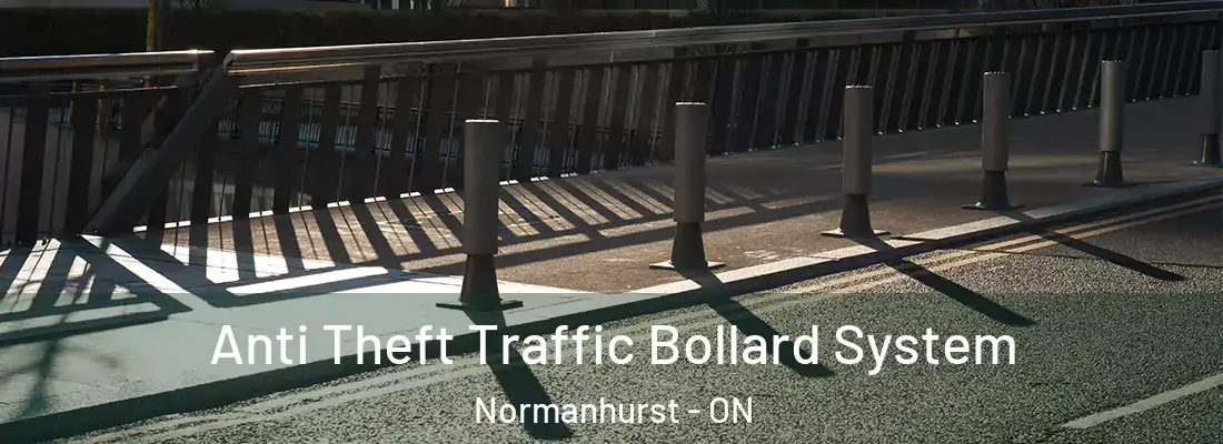  Anti Theft Traffic Bollard System Normanhurst - ON