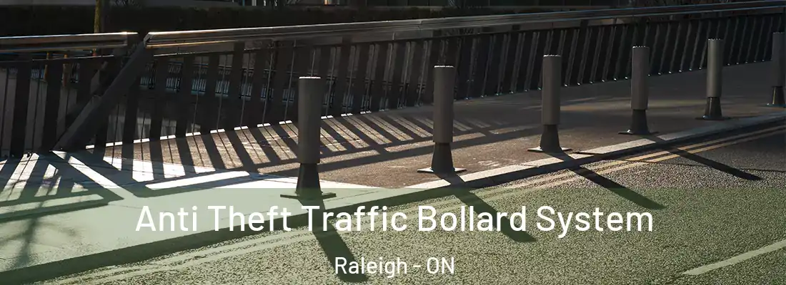  Anti Theft Traffic Bollard System Raleigh - ON