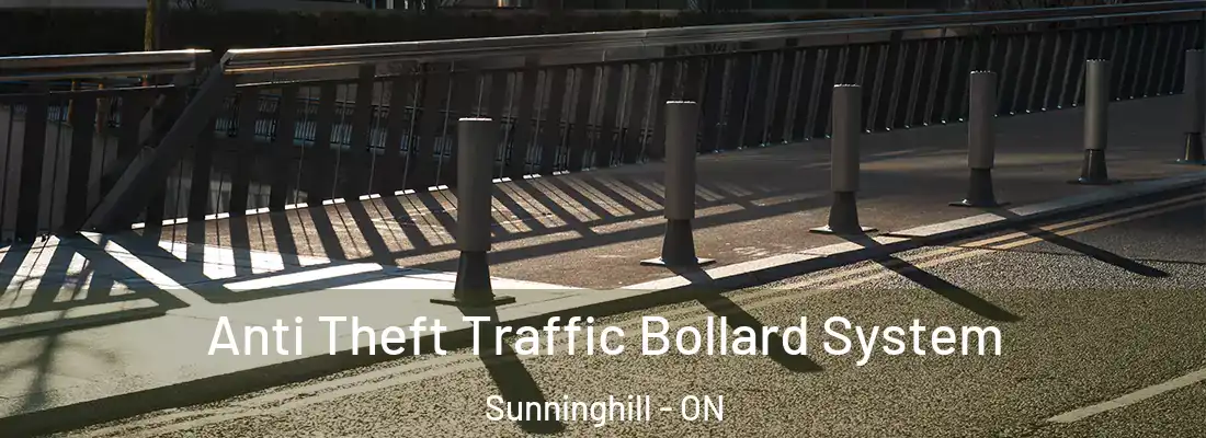  Anti Theft Traffic Bollard System Sunninghill - ON