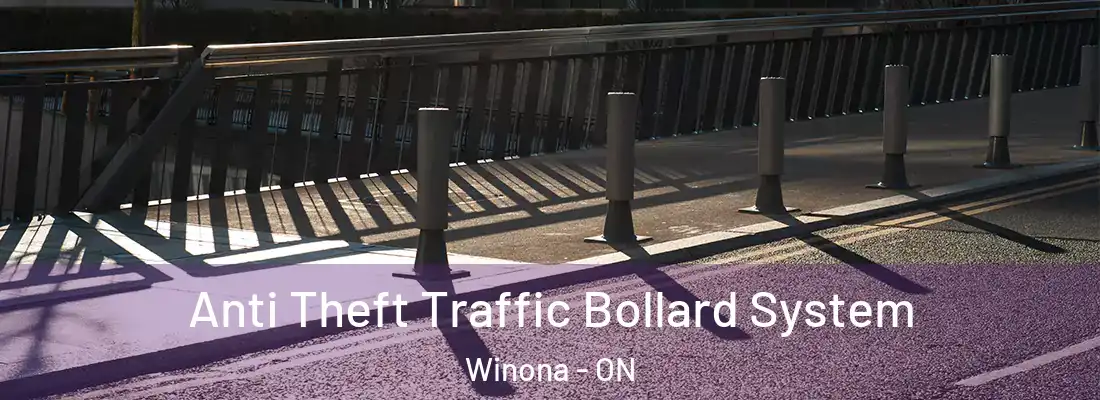  Anti Theft Traffic Bollard System Winona - ON