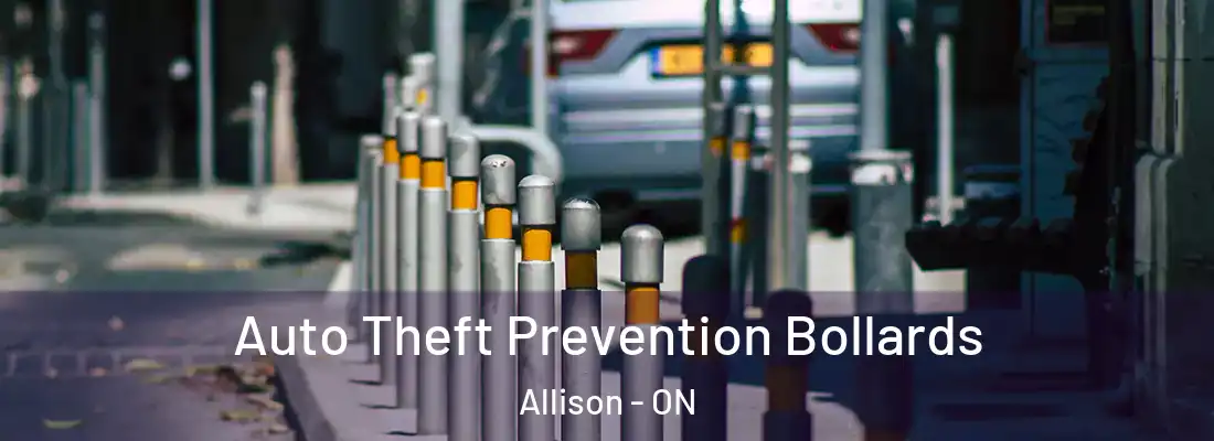  Auto Theft Prevention Bollards Allison - ON