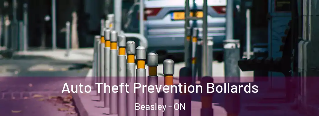  Auto Theft Prevention Bollards Beasley - ON
