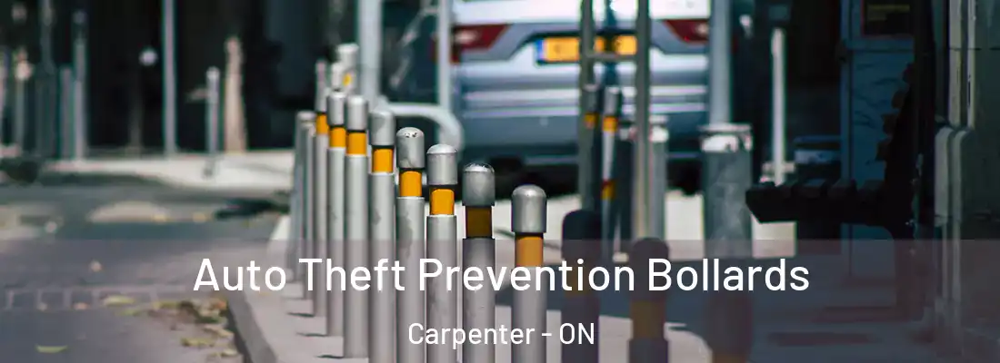  Auto Theft Prevention Bollards Carpenter - ON