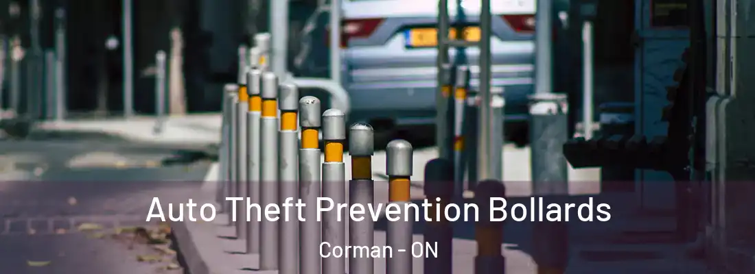  Auto Theft Prevention Bollards Corman - ON