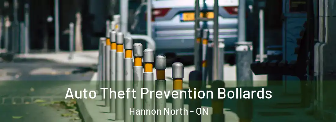  Auto Theft Prevention Bollards Hannon North - ON