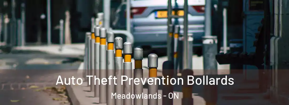  Auto Theft Prevention Bollards Meadowlands - ON