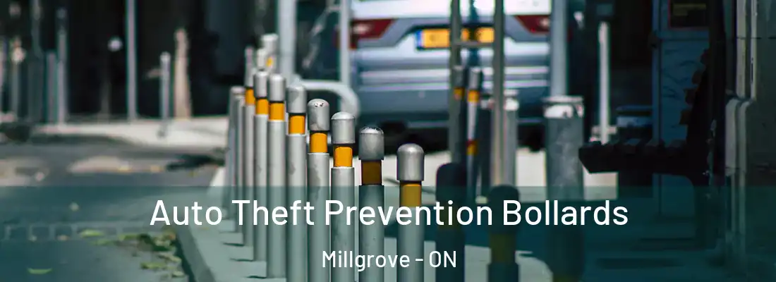  Auto Theft Prevention Bollards Millgrove - ON