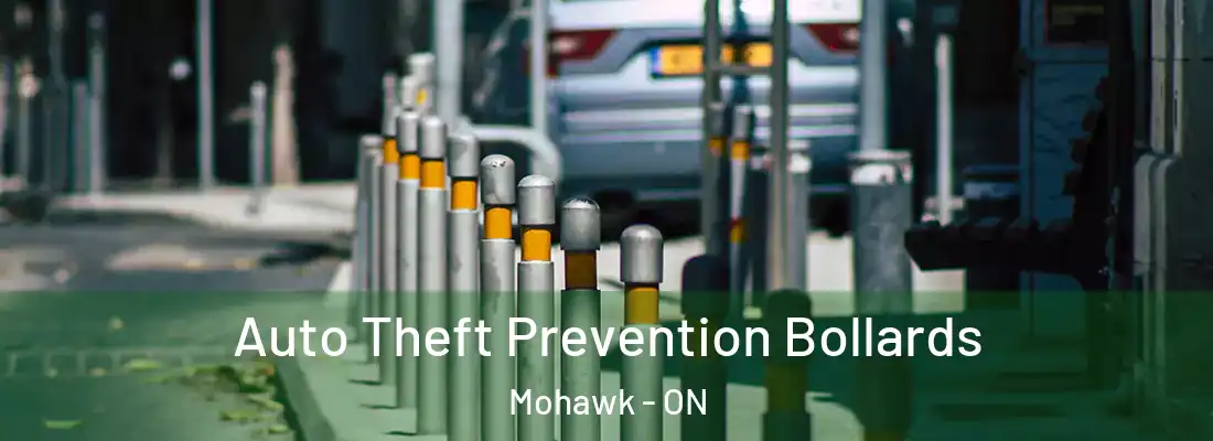  Auto Theft Prevention Bollards Mohawk - ON