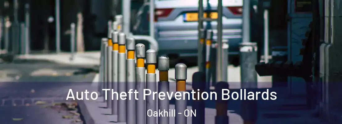  Auto Theft Prevention Bollards Oakhill - ON