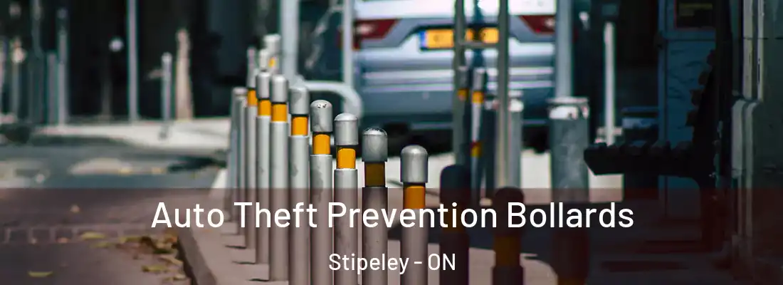  Auto Theft Prevention Bollards Stipeley - ON