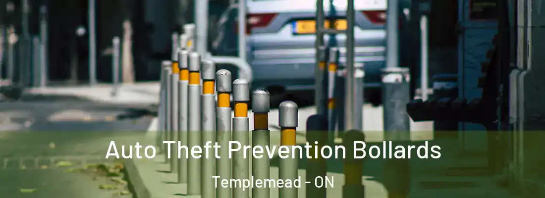  Auto Theft Prevention Bollards Templemead - ON