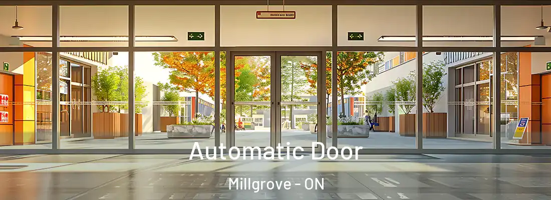  Automatic Door Millgrove - ON