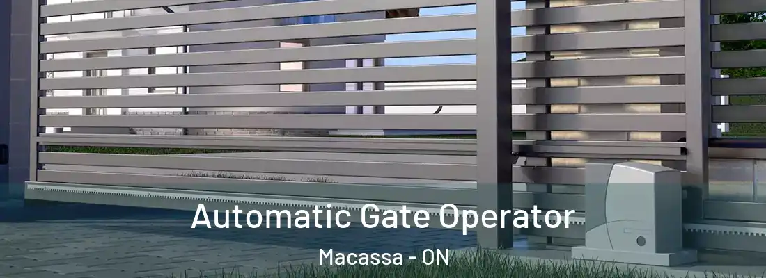  Automatic Gate Operator Macassa - ON