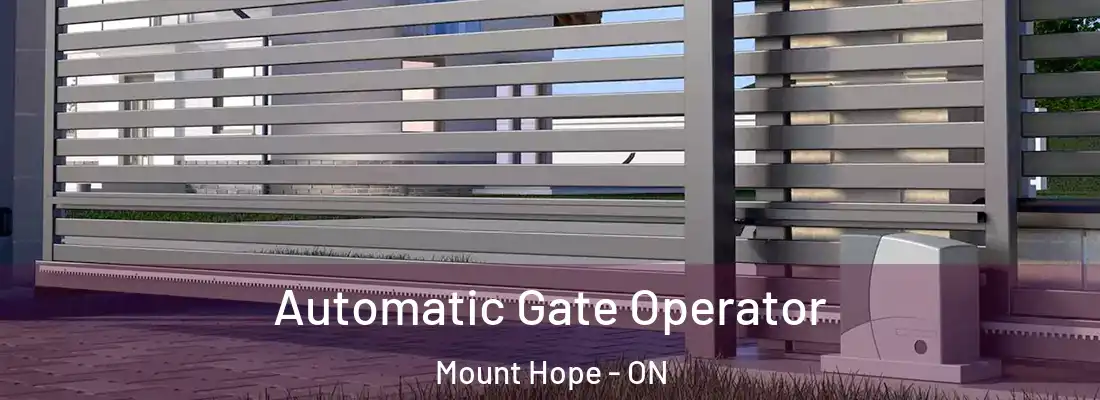  Automatic Gate Operator Mount Hope - ON