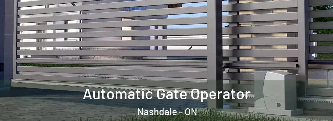  Automatic Gate Operator Nashdale - ON