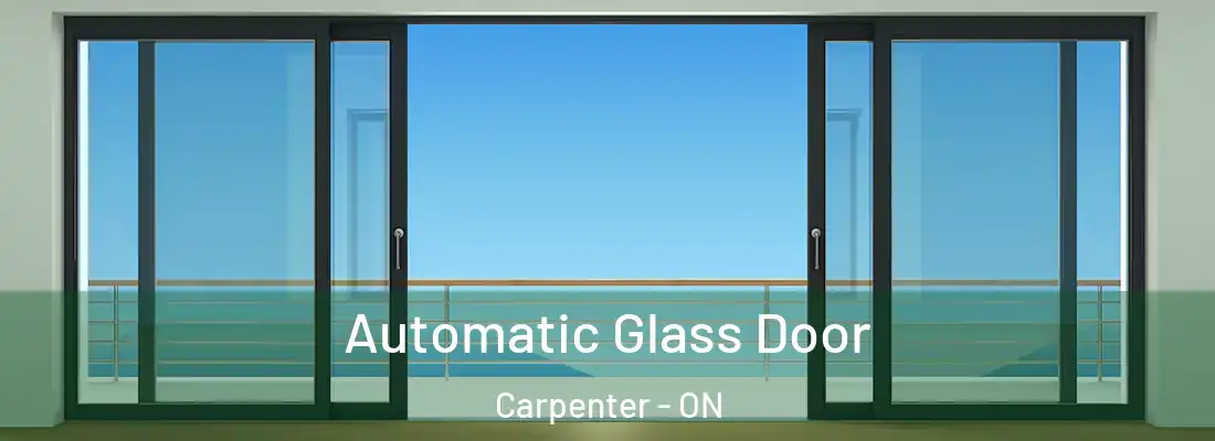  Automatic Glass Door Carpenter - ON