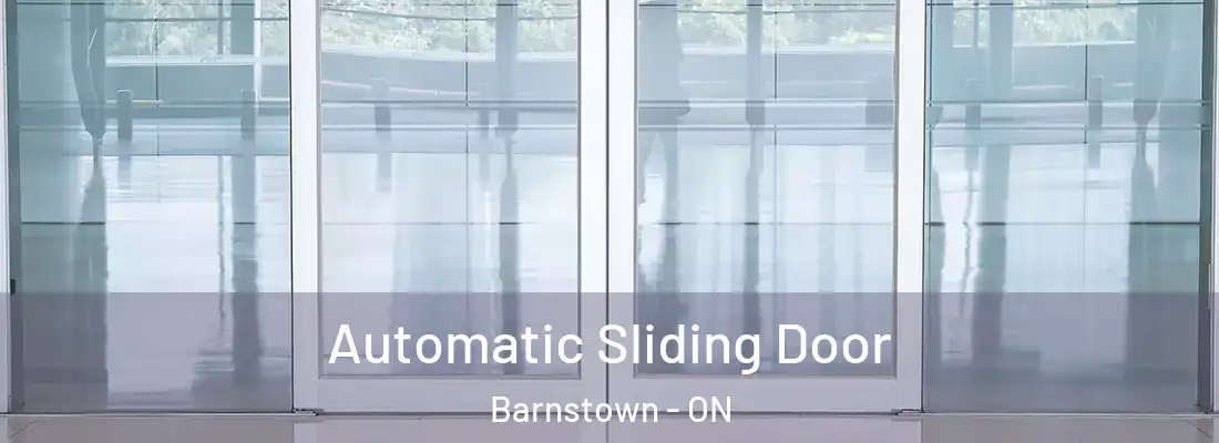  Automatic Sliding Door Barnstown - ON