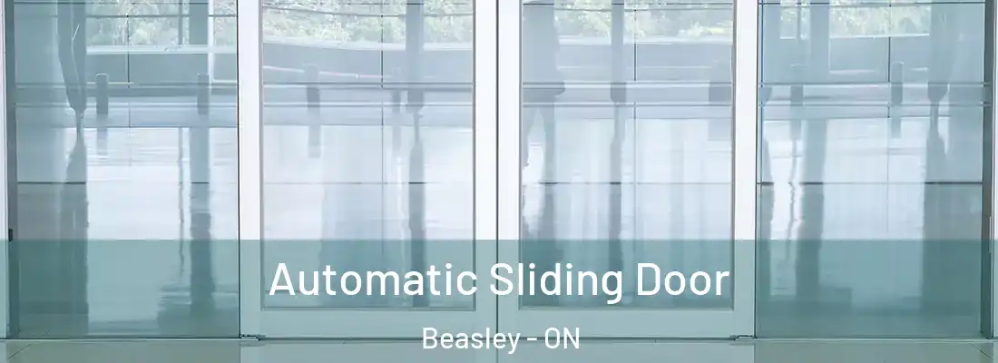  Automatic Sliding Door Beasley - ON