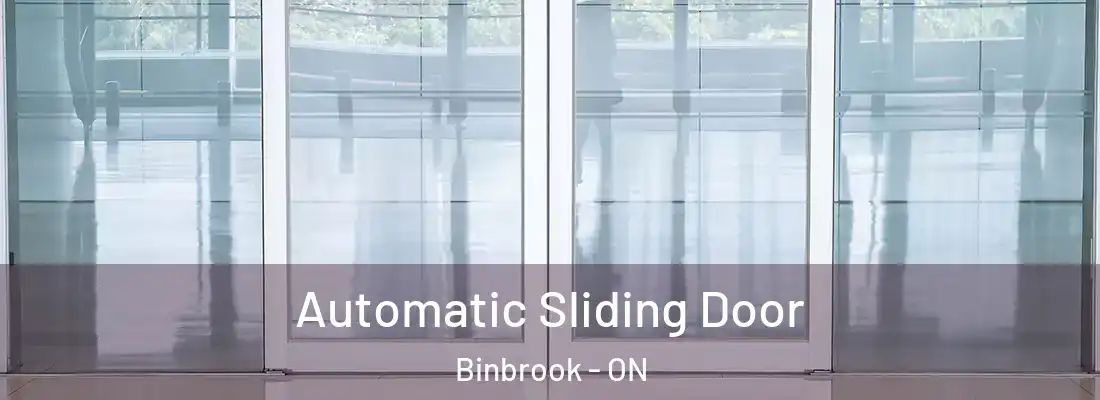  Automatic Sliding Door Binbrook - ON