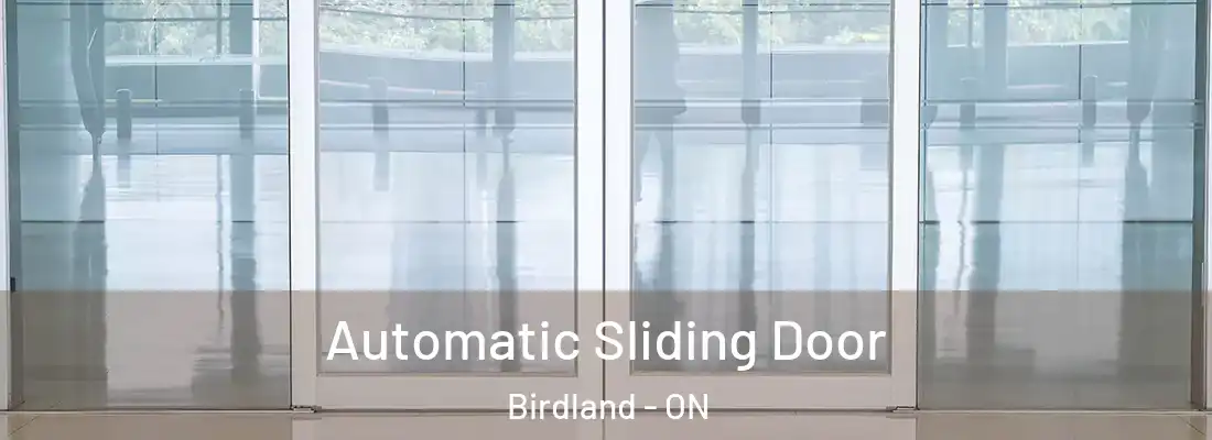  Automatic Sliding Door Birdland - ON