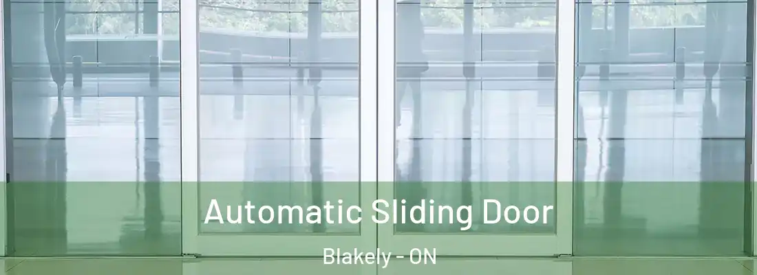  Automatic Sliding Door Blakely - ON