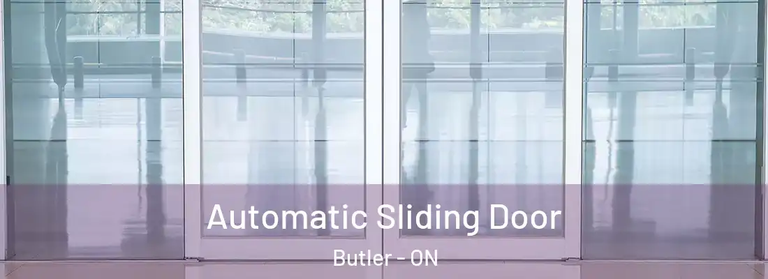  Automatic Sliding Door Butler - ON