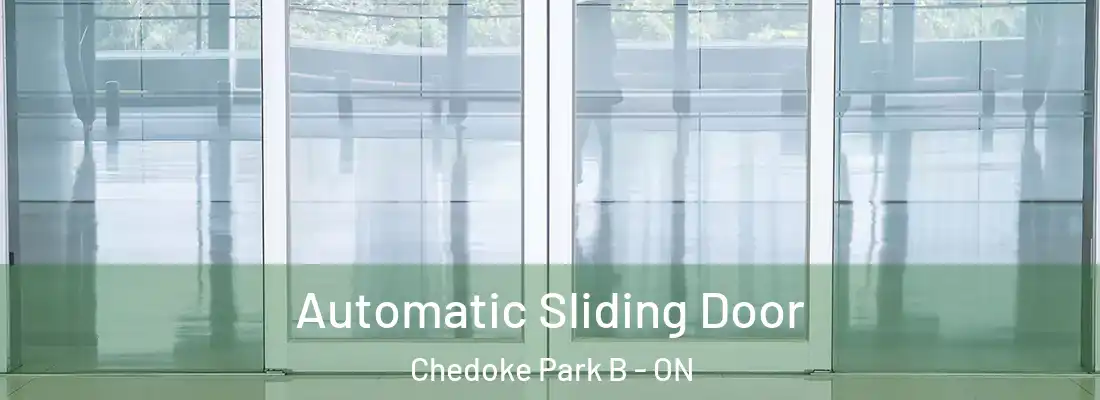  Automatic Sliding Door Chedoke Park B - ON