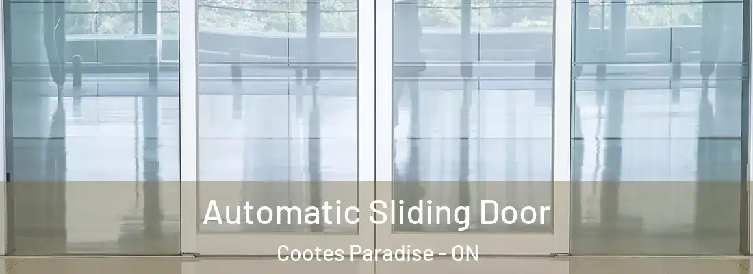  Automatic Sliding Door Cootes Paradise - ON