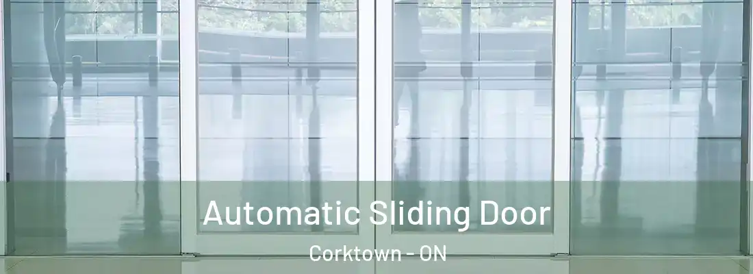  Automatic Sliding Door Corktown - ON