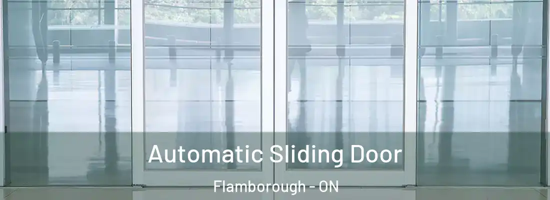  Automatic Sliding Door Flamborough - ON