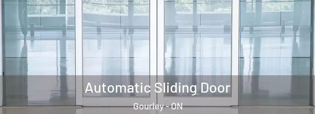  Automatic Sliding Door Gourley - ON