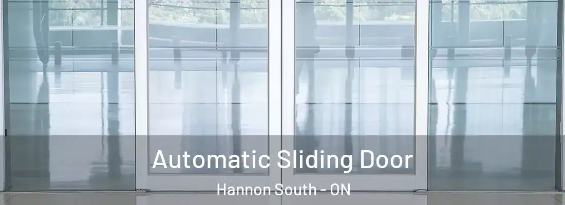  Automatic Sliding Door Hannon South - ON