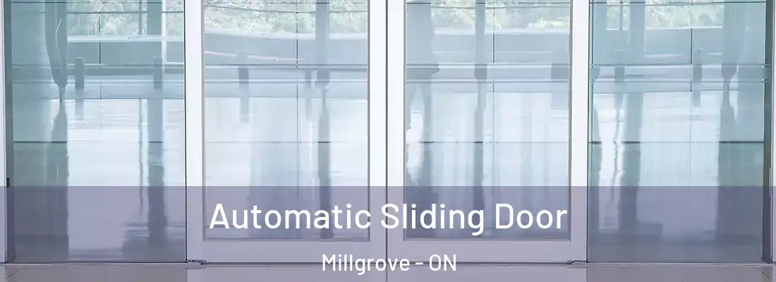  Automatic Sliding Door Millgrove - ON