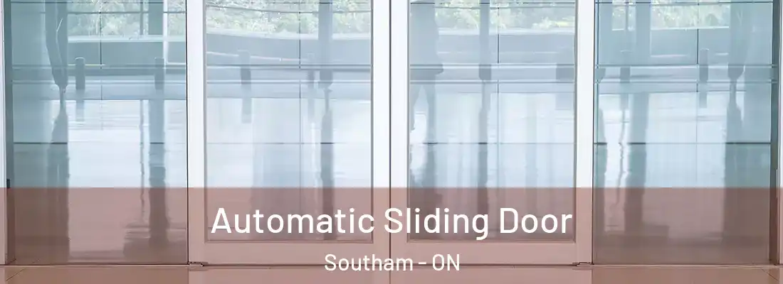  Automatic Sliding Door Southam - ON