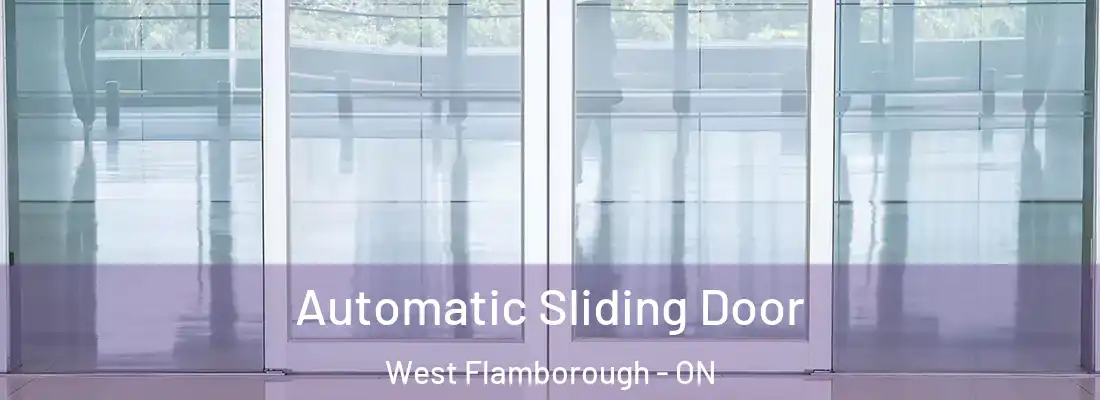  Automatic Sliding Door West Flamborough - ON