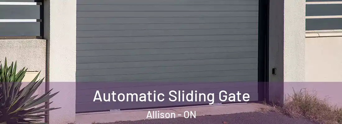  Automatic Sliding Gate Allison - ON