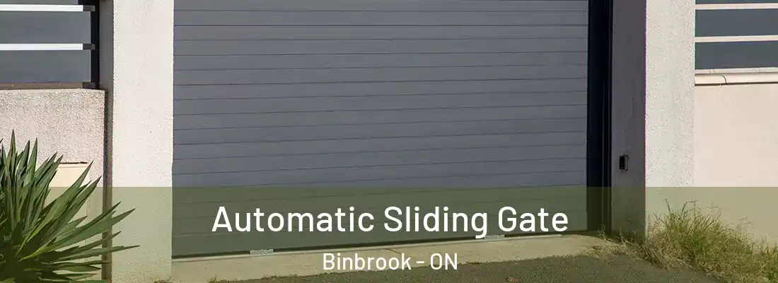  Automatic Sliding Gate Binbrook - ON