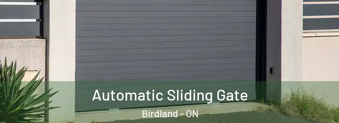  Automatic Sliding Gate Birdland - ON