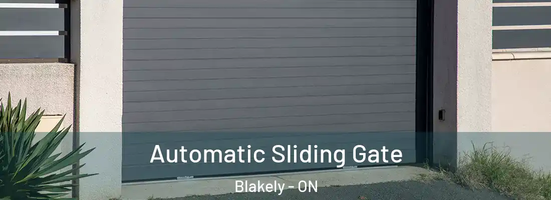  Automatic Sliding Gate Blakely - ON