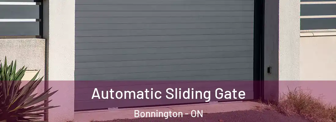  Automatic Sliding Gate Bonnington - ON