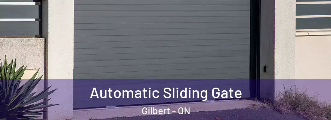  Automatic Sliding Gate Gilbert - ON