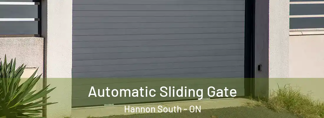  Automatic Sliding Gate Hannon South - ON