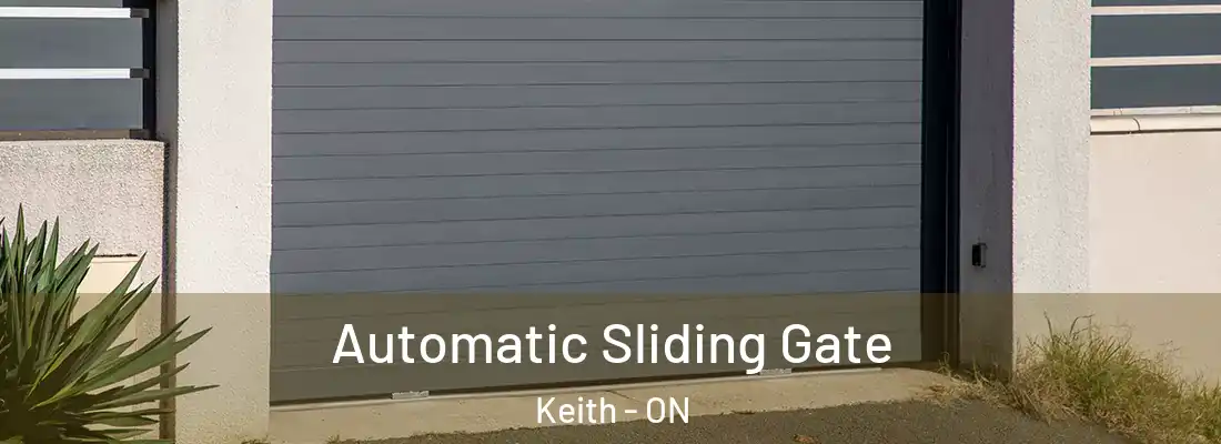  Automatic Sliding Gate Keith - ON