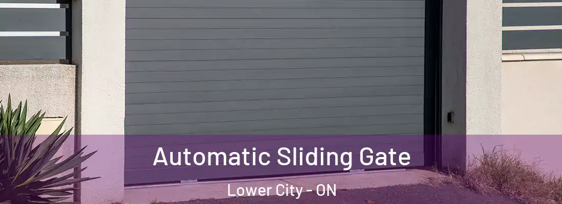  Automatic Sliding Gate Lower City - ON
